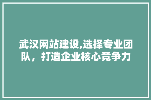 武汉网站建设,选择专业团队，打造企业核心竞争力