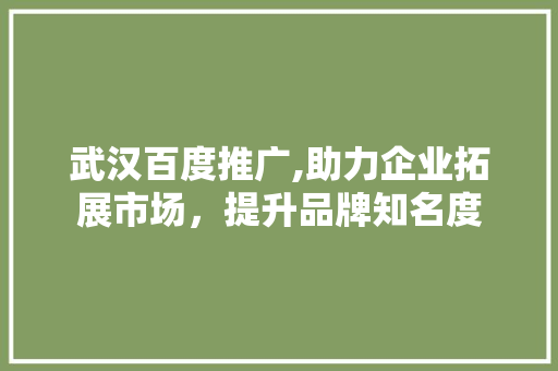 武汉百度推广,助力企业拓展市场，提升品牌知名度