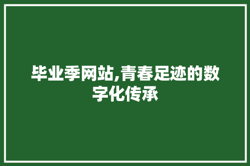 毕业季网站,青春足迹的数字化传承