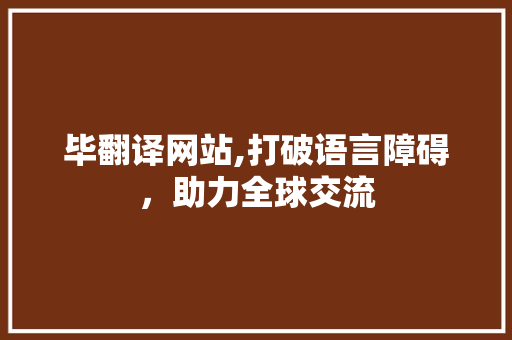 毕翻译网站,打破语言障碍，助力全球交流 毕翻译网站,打破语言障碍，助力全球交流 神马SEO