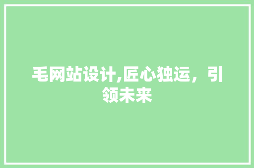 毛网站设计,匠心独运，引领未来 毛网站设计,匠心独运，引领未来 神马SEO