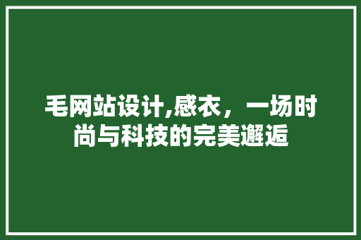 毛网站设计,感衣，一场时尚与科技的完美邂逅