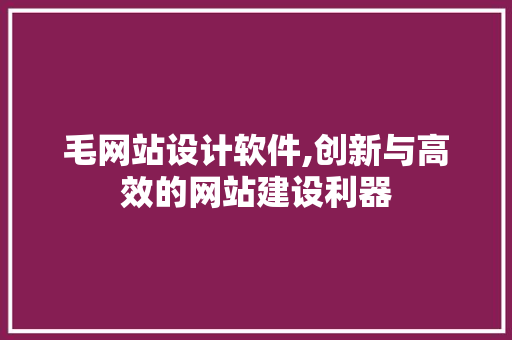 毛网站设计软件,创新与高效的网站建设利器 毛网站设计软件,创新与高效的网站建设利器 必应SEO