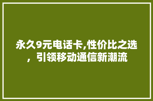 永久9元电话卡,性价比之选，引领移动通信新潮流