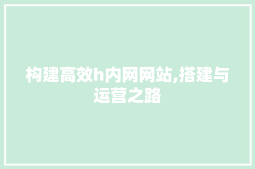 构建高效h内网网站,搭建与运营之路