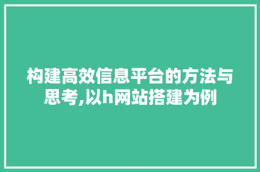 构建高效信息平台的方法与思考,以h网站搭建为例