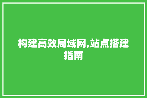构建高效局域网,站点搭建指南