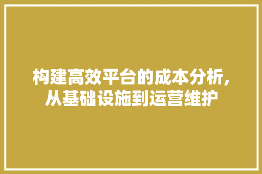 构建高效平台的成本分析,从基础设施到运营维护