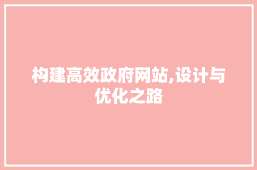 构建高效政府网站,设计与优化之路