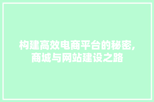 构建高效电商平台的秘密,商城与网站建设之路