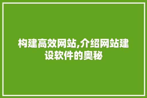 构建高效网站,介绍网站建设软件的奥秘