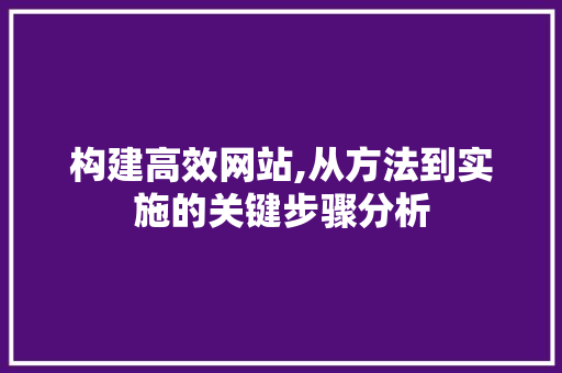 构建高效网站,从方法到实施的关键步骤分析