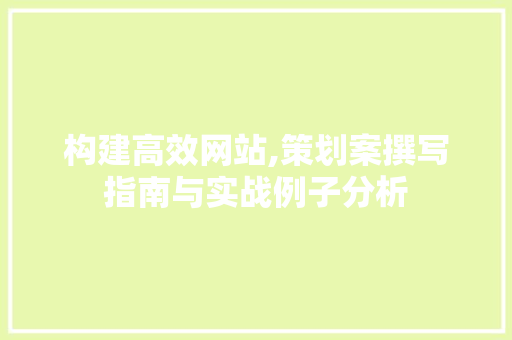 构建高效网站,策划案撰写指南与实战例子分析