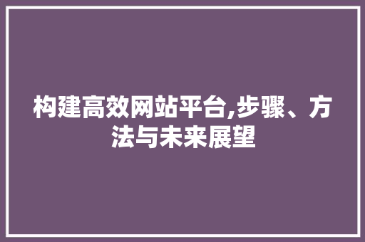 构建高效网站平台,步骤、方法与未来展望