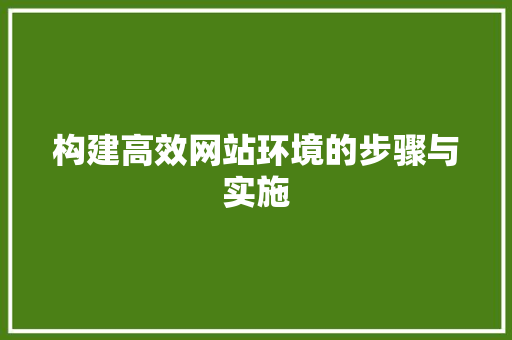 构建高效网站环境的步骤与实施