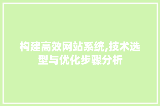 构建高效网站系统,技术选型与优化步骤分析
