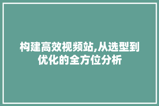 构建高效视频站,从选型到优化的全方位分析