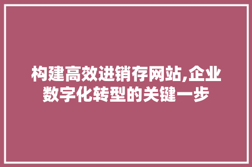 构建高效进销存网站,企业数字化转型的关键一步