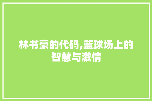 林书豪的代码,篮球场上的智慧与激情