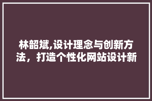 林韶斌,设计理念与创新方法，打造个性化网站设计新标杆