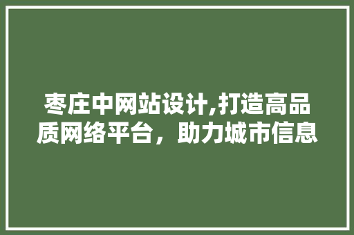 枣庄中网站设计,打造高品质网络平台，助力城市信息化建设