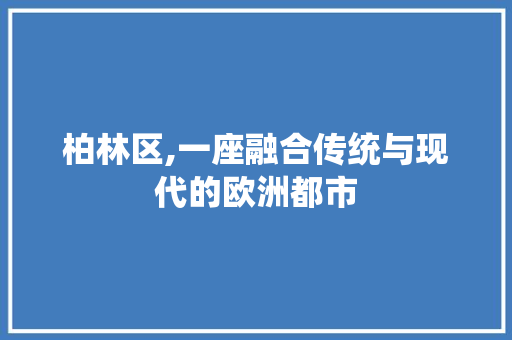 柏林区,一座融合传统与现代的欧洲都市