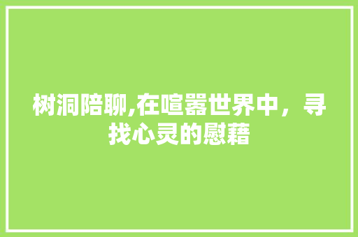 树洞陪聊,在喧嚣世界中，寻找心灵的慰藉