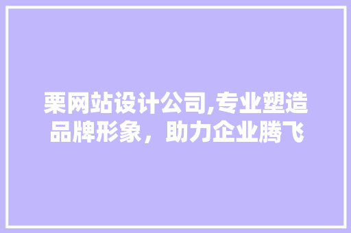 栗网站设计公司,专业塑造品牌形象，助力企业腾飞