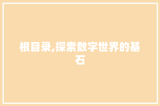 根目录,探索数字世界的基石