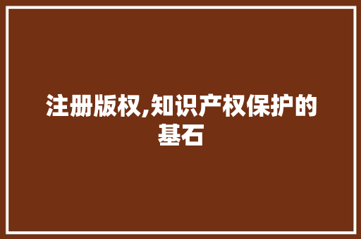 注册版权,知识产权保护的基石