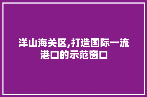 洋山海关区,打造国际一流港口的示范窗口
