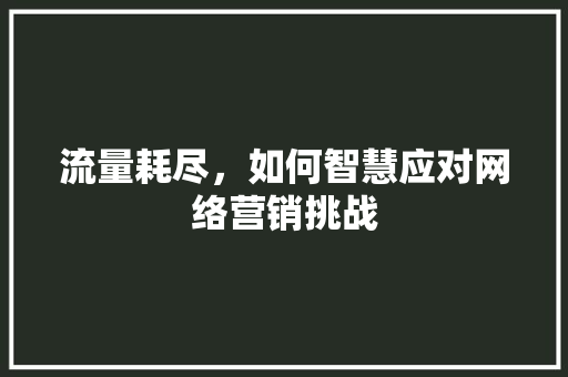 流量耗尽，如何智慧应对网络营销挑战