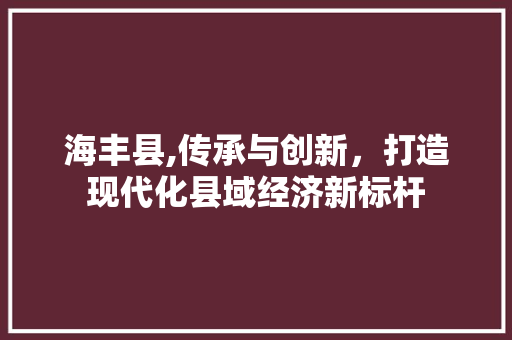 海丰县,传承与创新，打造现代化县域经济新标杆
