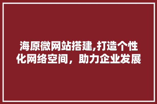 海原微网站搭建,打造个性化网络空间，助力企业发展