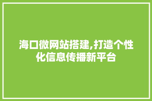 海口微网站搭建,打造个性化信息传播新平台