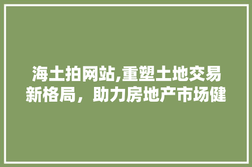 海土拍网站,重塑土地交易新格局，助力房地产市场健康发展