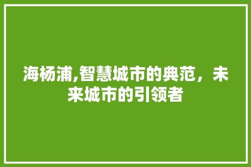 海杨浦,智慧城市的典范，未来城市的引领者