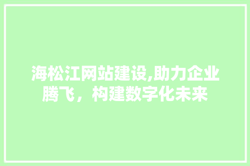 海松江网站建设,助力企业腾飞，构建数字化未来