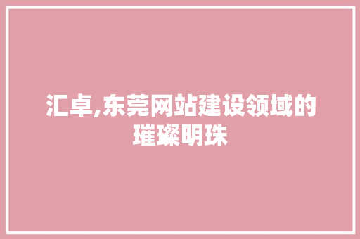 汇卓,东莞网站建设领域的璀璨明珠