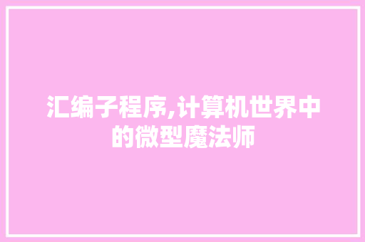 汇编子程序,计算机世界中的微型魔法师