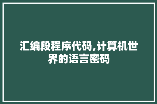 汇编段程序代码,计算机世界的语言密码