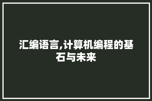 汇编语言,计算机编程的基石与未来