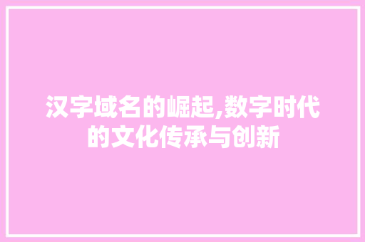 汉字域名的崛起,数字时代的文化传承与创新