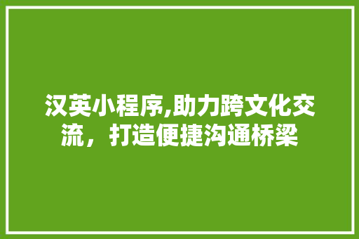 汉英小程序,助力跨文化交流，打造便捷沟通桥梁