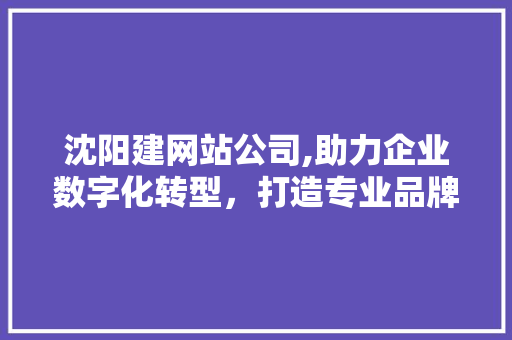 沈阳建网站公司,助力企业数字化转型，打造专业品牌形象