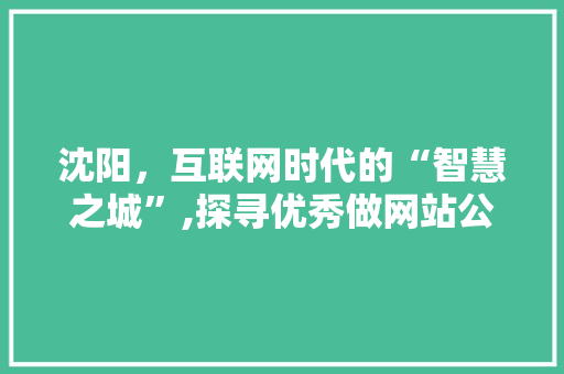 沈阳，互联网时代的“智慧之城”,探寻优秀做网站公司的力量