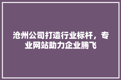 沧州公司打造行业标杆，专业网站助力企业腾飞
