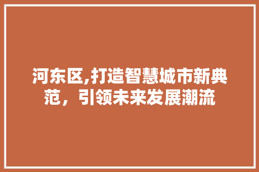 河东区,打造智慧城市新典范，引领未来发展潮流