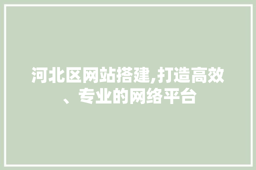 河北区网站搭建,打造高效、专业的网络平台