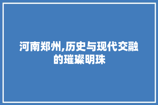 河南郑州,历史与现代交融的璀璨明珠 河南郑州,历史与现代交融的璀璨明珠 SEO关键词